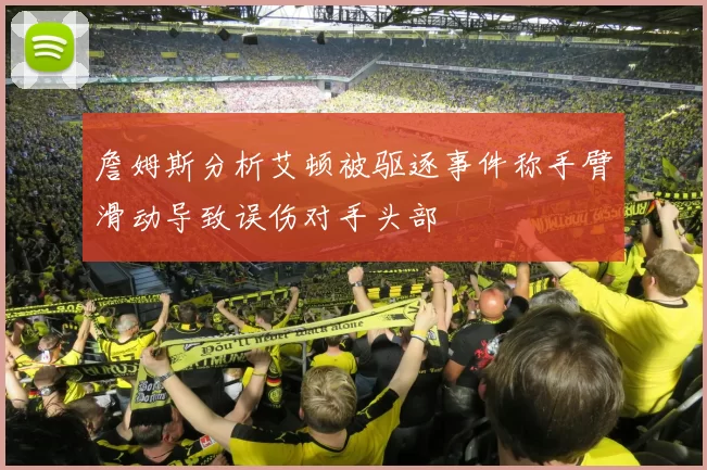 詹姆斯分析艾顿被驱逐事件称手臂滑动导致误伤对手头部