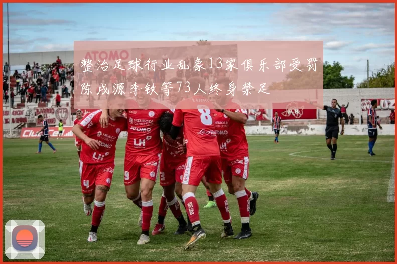 整治足球行业乱象13家俱乐部受罚陈戌源李铁等73人终身禁足