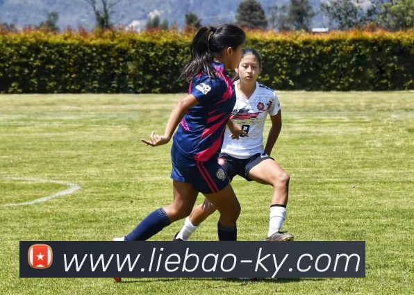 开云体育APP 封面图